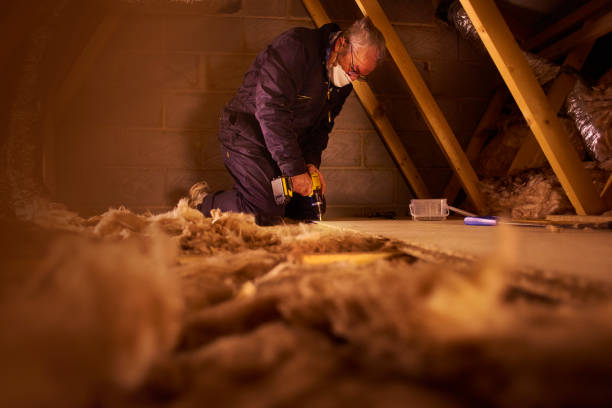 Best Geographic-Specific Insulation Services in Big Sky, MT